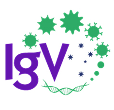 Thumbnail for 2021 IgV Masterclass on Quantitative Immunology