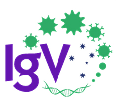 Thumbnail for 2021 IgV Winter Seminar Series | Jennifer Stow