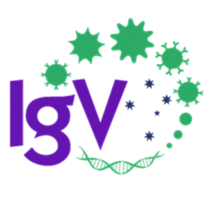 The Immunology group of Victoria
